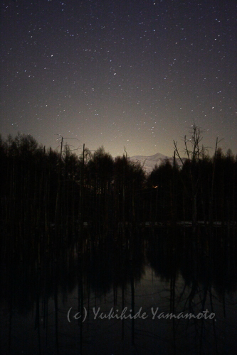 夜の青池　星景点像      web gallarey 0133
